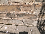 IMG_20200320_133237.jpg