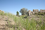 夹边沟林场长城