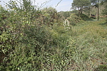 赵家庄敌台02号