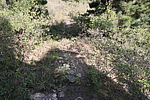 西松岭子长城1段（南线）
