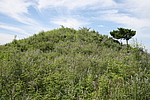 老石山长城敌台
