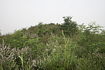 赵西沟长城2号敌台