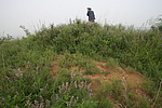 赵西沟长城2号敌台