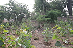 兴水岘堡城