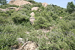 小盖州长城1段（副线）