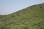 九龙山长城3段