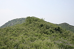 九龙山长城3段