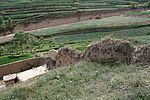 д峤1