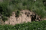 仓岭沟村长城