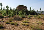 古城滩村2号马面