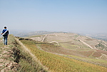 峤1