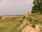 Ȧ峤