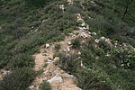 土沟烽火台