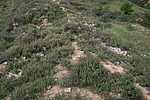 土沟烽火台