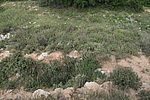 土沟烽火台
