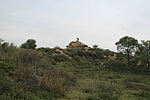 土沟烽火台