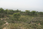 土沟烽火台