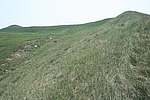 半山关